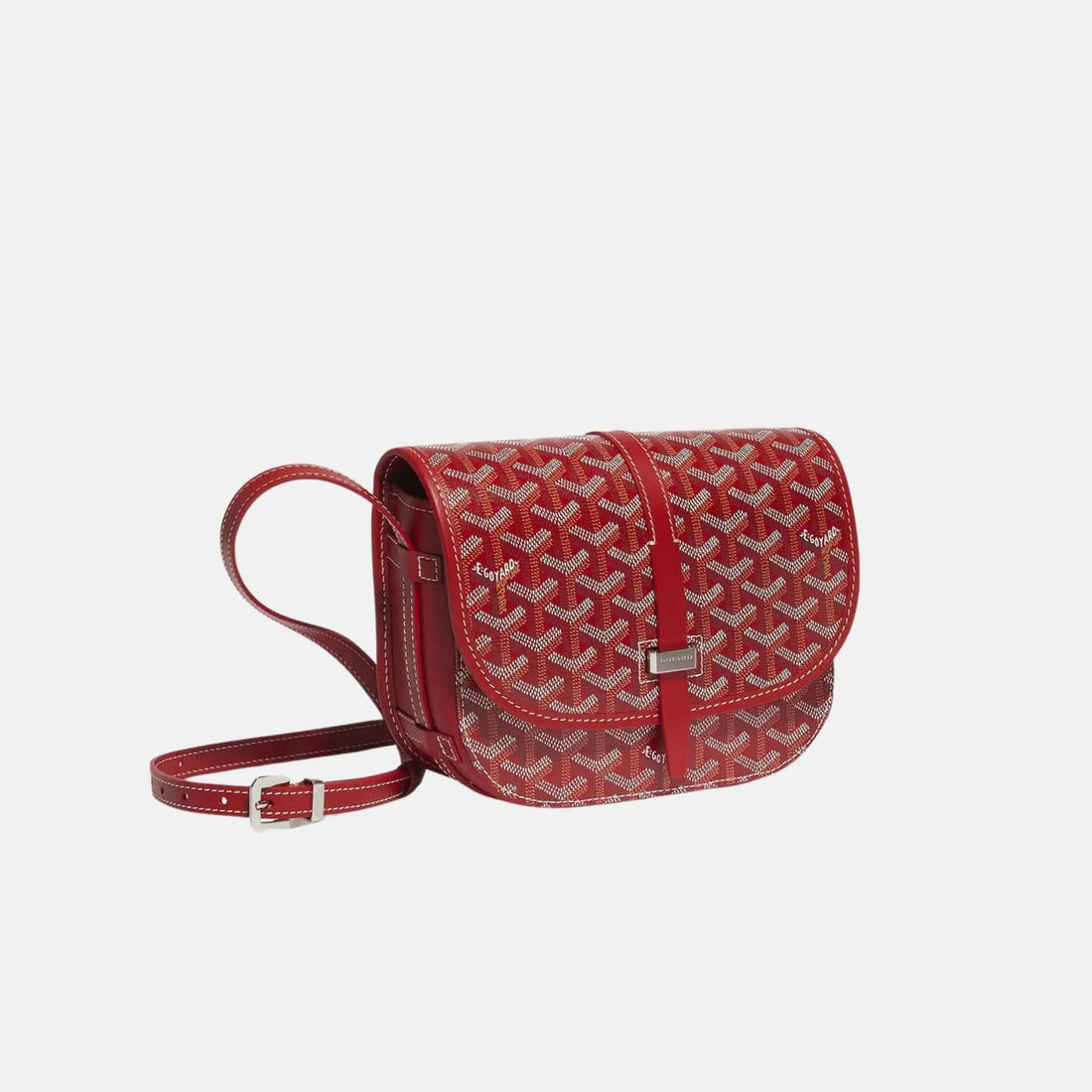 GOYARD Bag